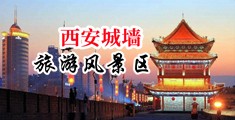 性爱666999中国陕西-西安城墙旅游风景区