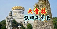 日韩黑丝妇女强奸精品中国浙江-绍兴大香林旅游风景区
